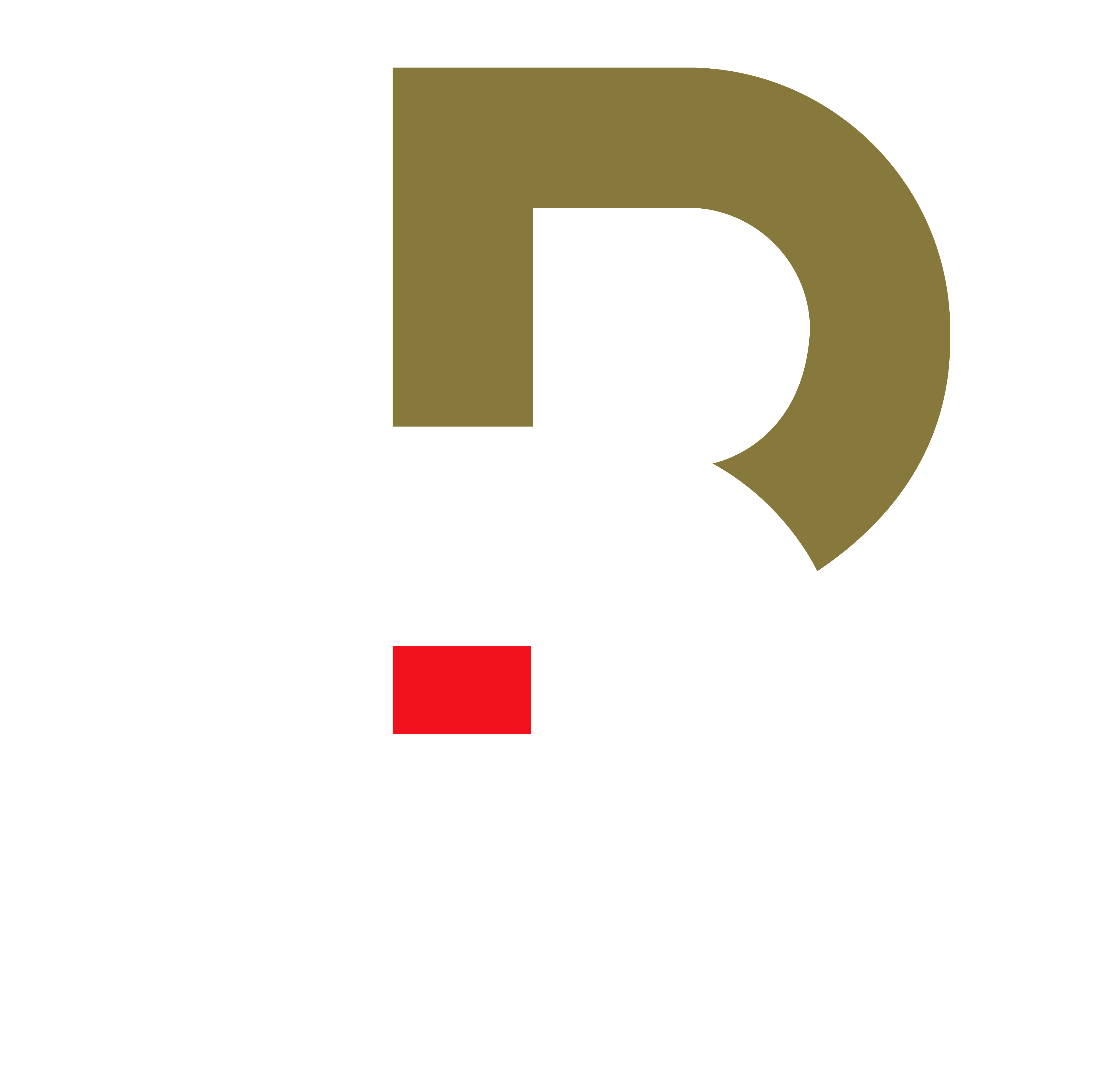 BD Professionals Logo